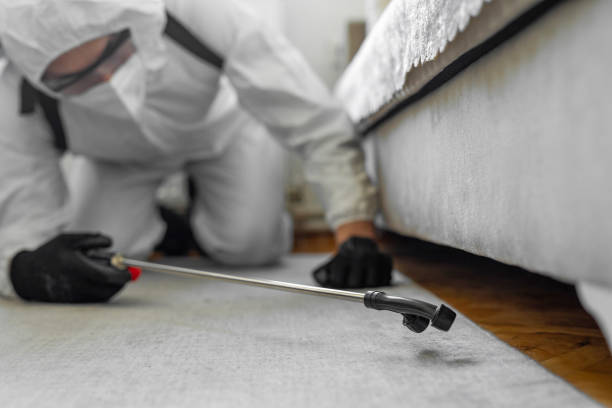 Professional Bed Bug Control technician working in Frewsburg, NY